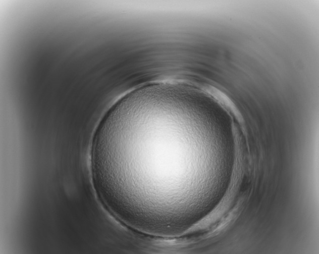 X0000089860855200707051132