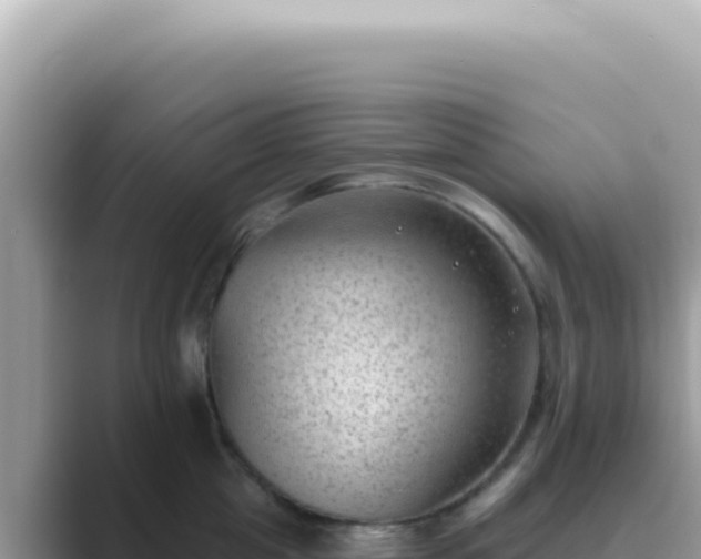 X0000089860857200707051132