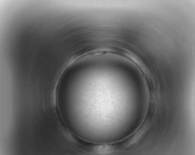X0000089860858200707051132