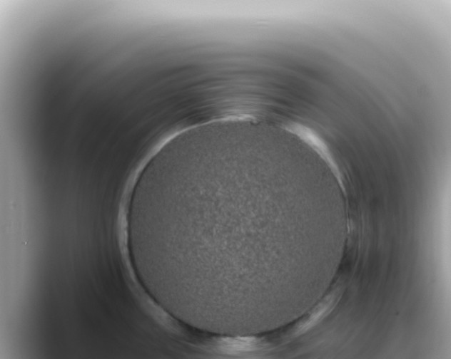X0000089860859200707051132