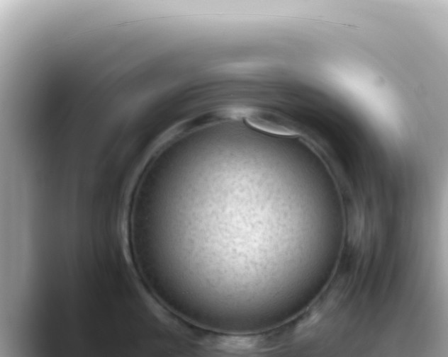 X0000089860861200707051132