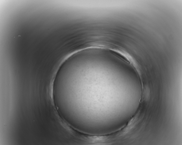 X0000089860862200707051132