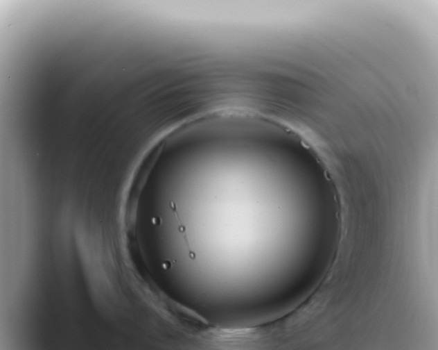 X0000089860864200707051132