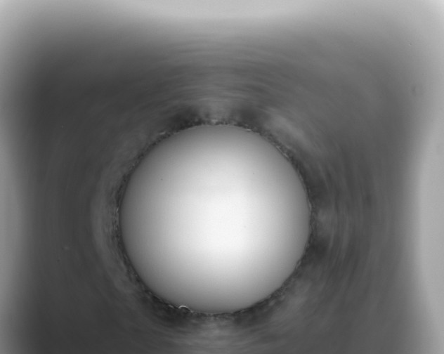 X0000089860865200707051131