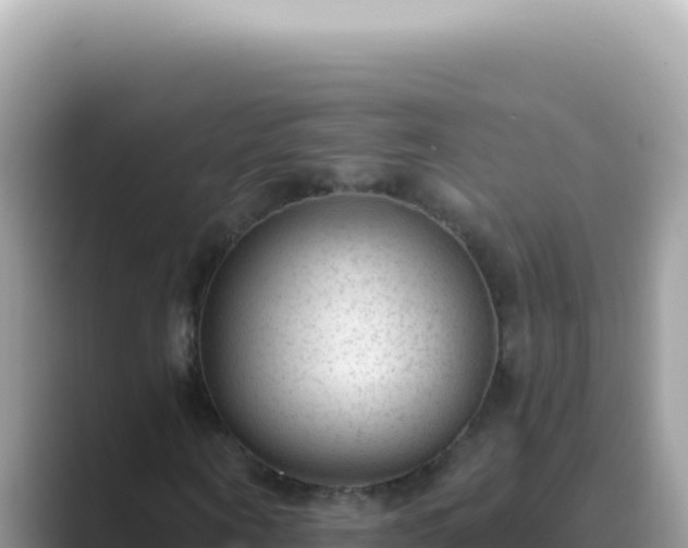 X0000089860866200707051131