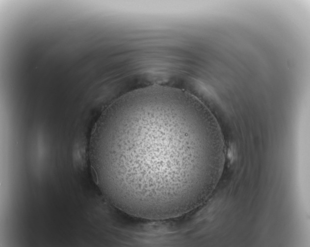 X0000089860867200707051131