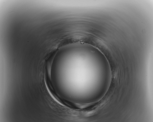 X0000089860868200707051131
