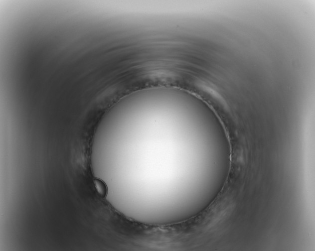 X0000089860869200707051131