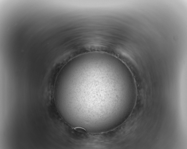 X0000089860870200707051131