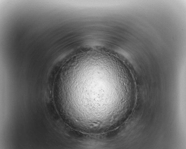X0000089860871200707051131