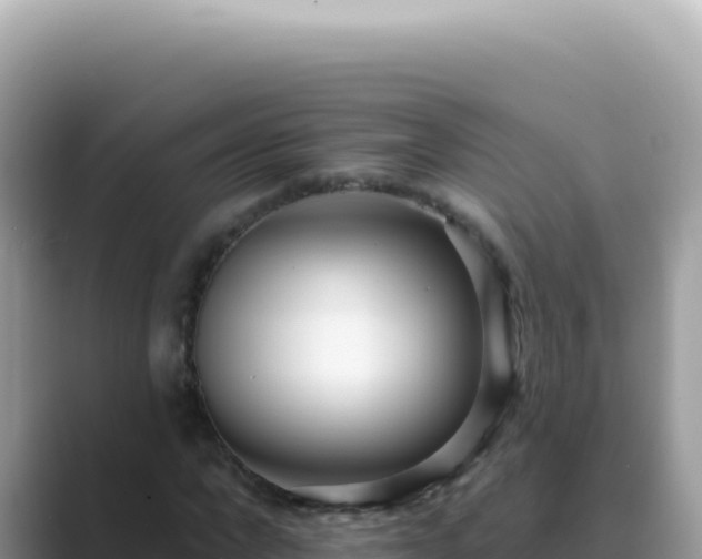 X0000089860872200707051131