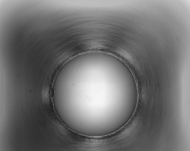 X0000089860873200707051131