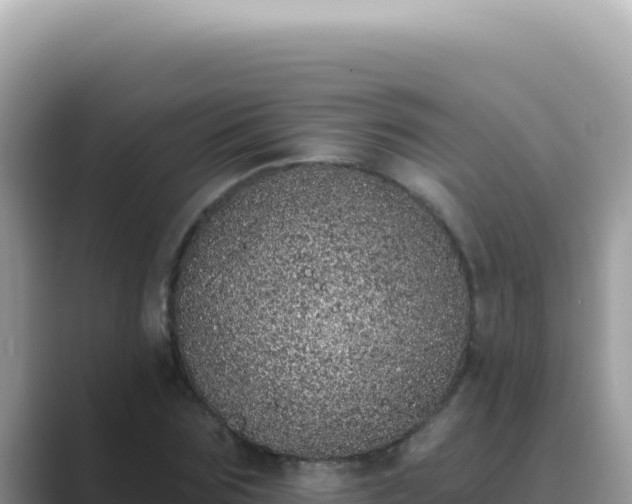 X0000089860875200707051131