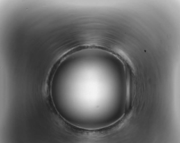 X0000089860876200707051131