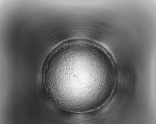 X0000089860879200707051131