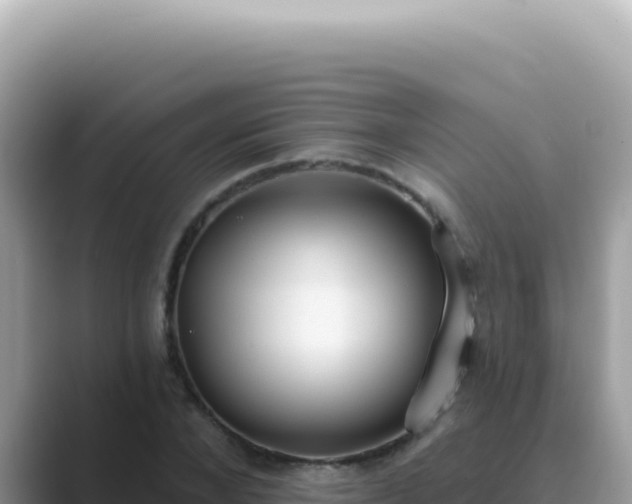 X0000089860880200707051131