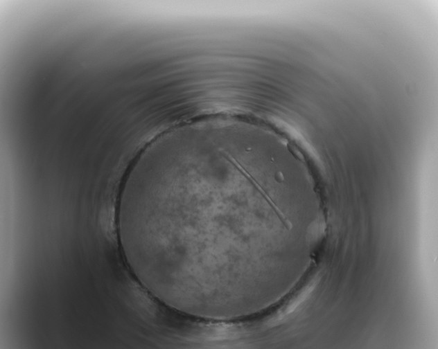 X0000089860881200707051131
