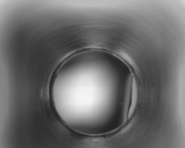X0000089860884200707051131