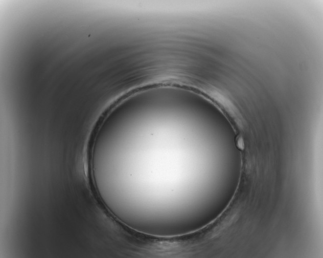 X0000089860888200707051131