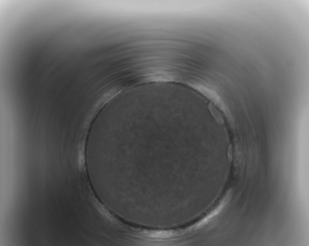 X0000089860889200707051131