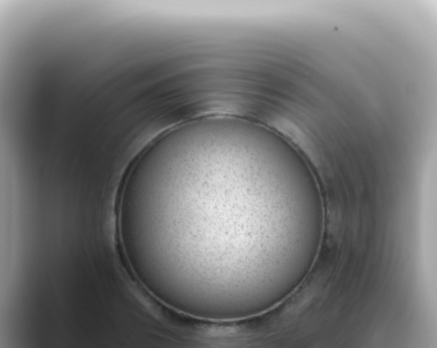 X0000089860890200707051131