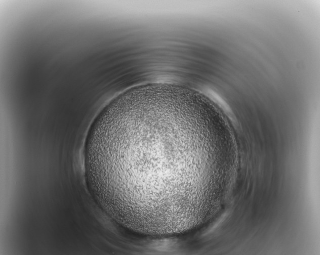 X0000089860891200707051131