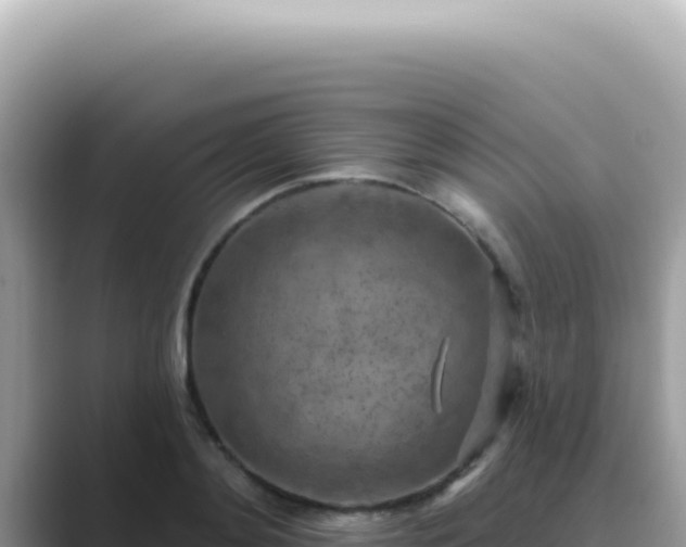 X0000089860892200707051131