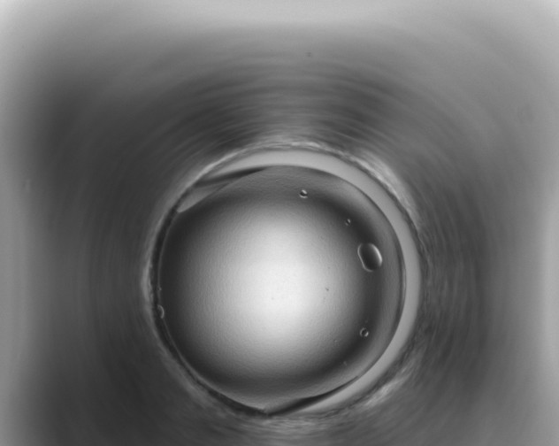 X0000089860893200707051131
