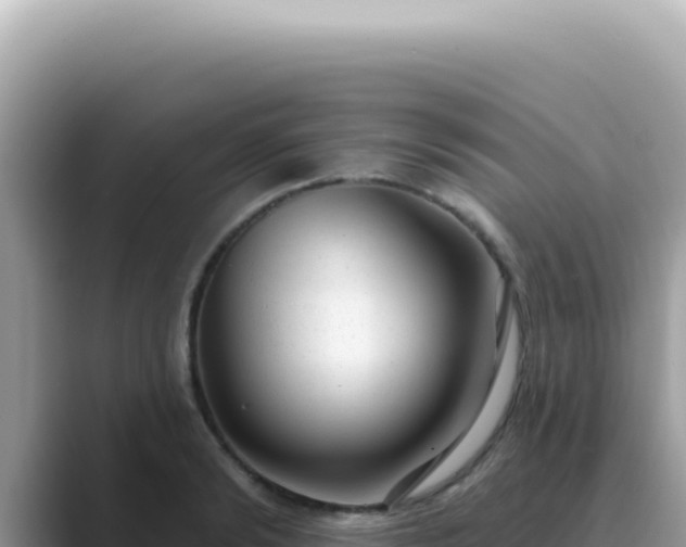 X0000089860894200707051131