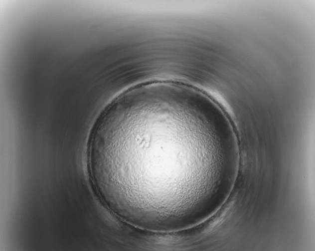 X0000089860895200707051131