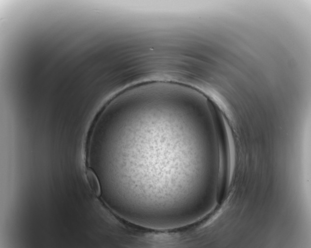 X0000089860896200707051131