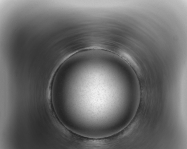 X0000089860900200707051131