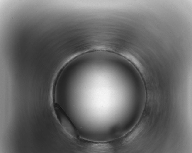 X0000089860902200707051131