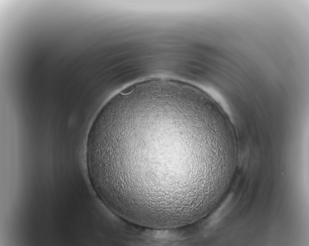 X0000089860903200707051131