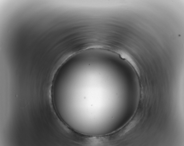 X0000089860906200707051131