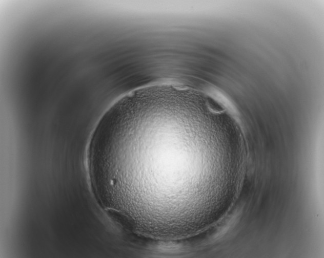 X0000089860907200707051131