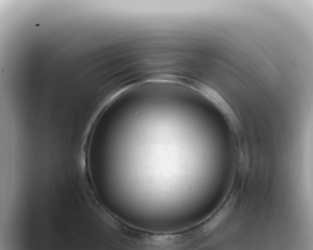 X0000089860908200707051131