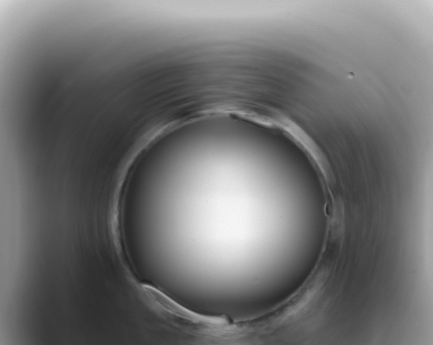 X0000089860909200707051131