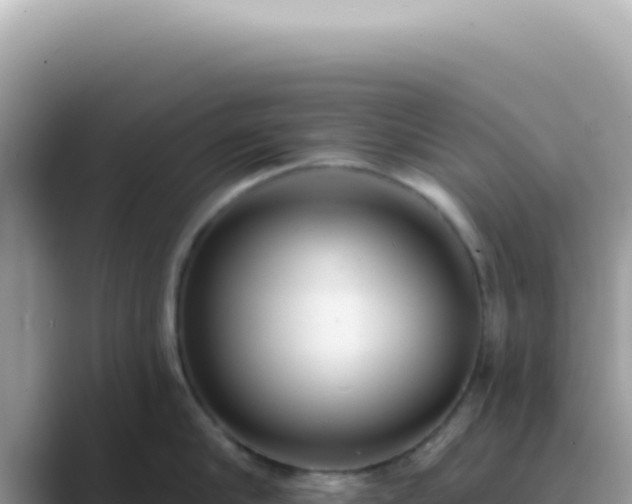 X0000089860910200707051131