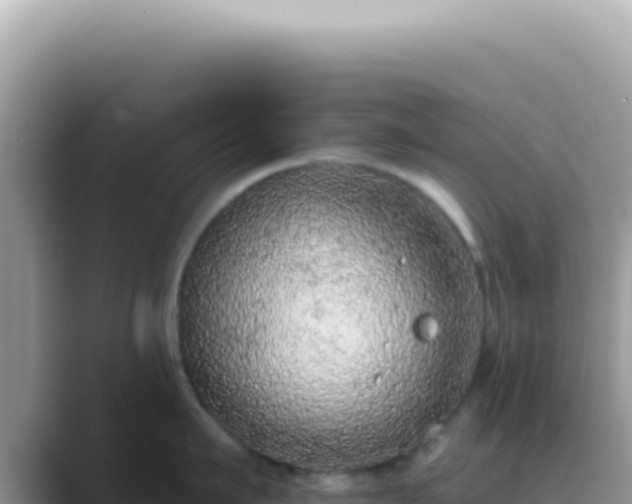 X0000089860911200707051131