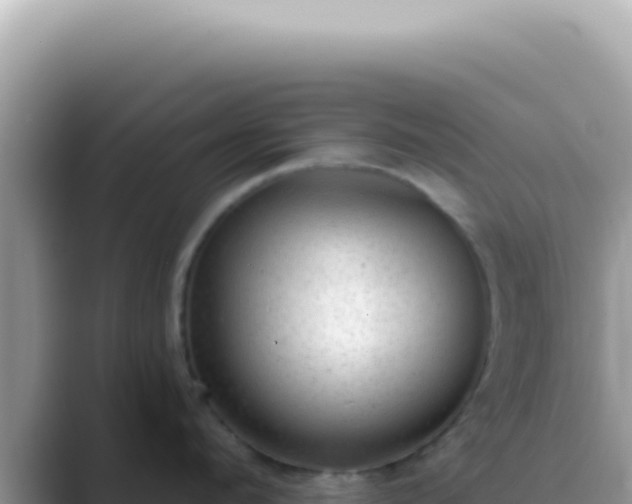 X0000089860912200707051131