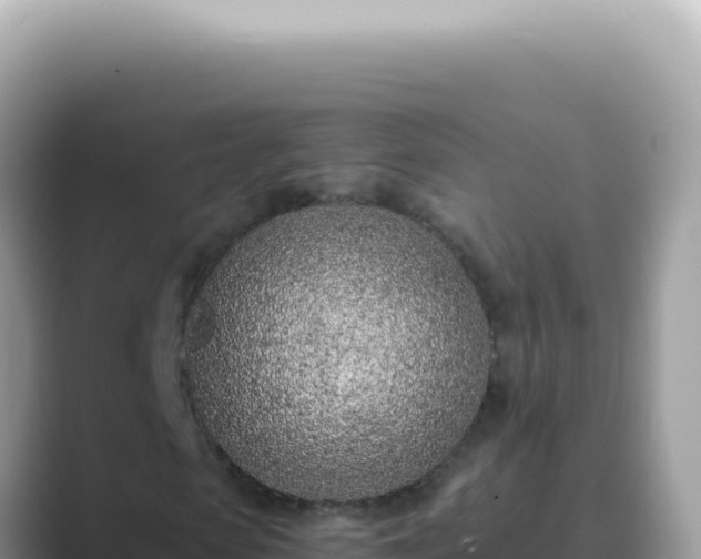 X0000089860913200707051130