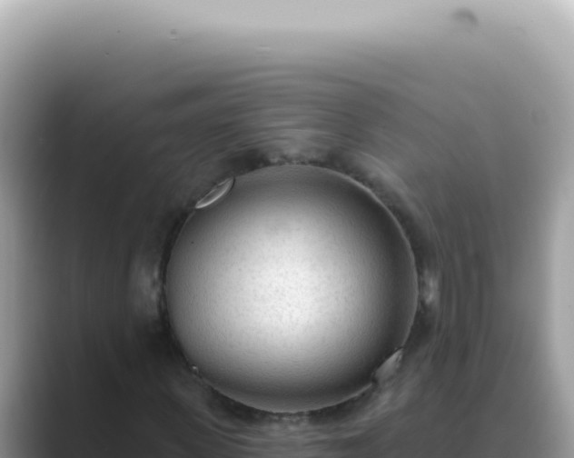 X0000089860915200707051130