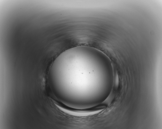 X0000089860916200707051130