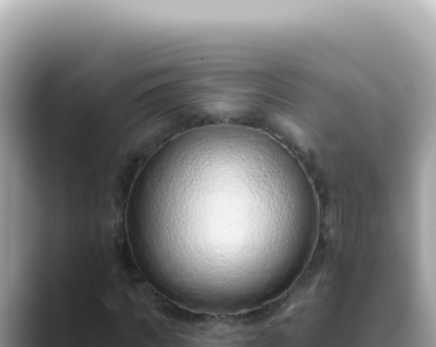 X0000089860917200707051130