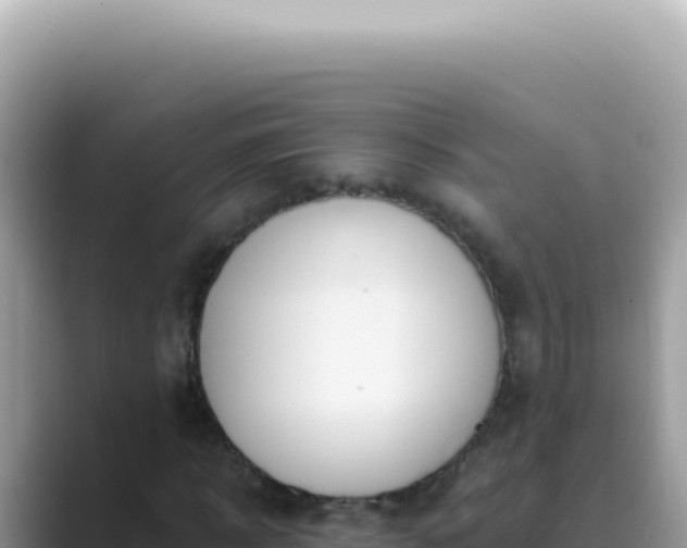 X0000089860918200707051130