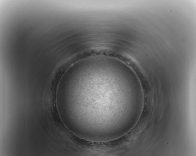 X0000089860919200707051130