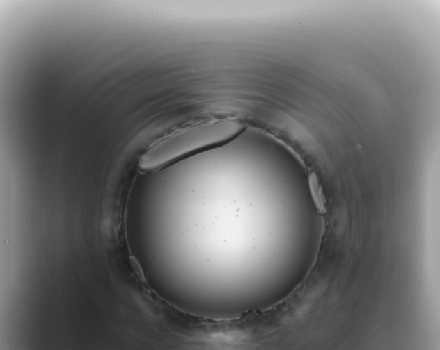 X0000089860920200707051130