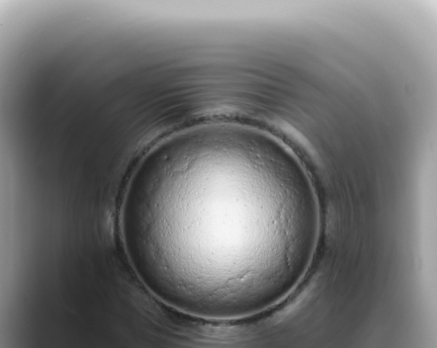 X0000089860921200707051130