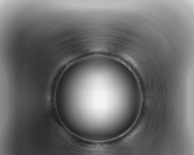 X0000089860922200707051130